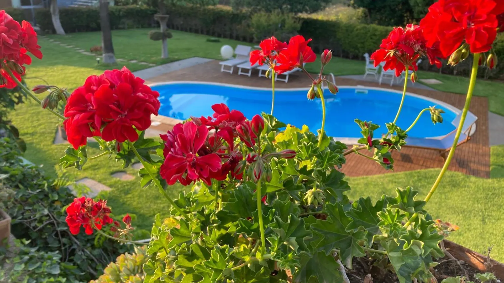 Green Paradise With Etna View Mascali