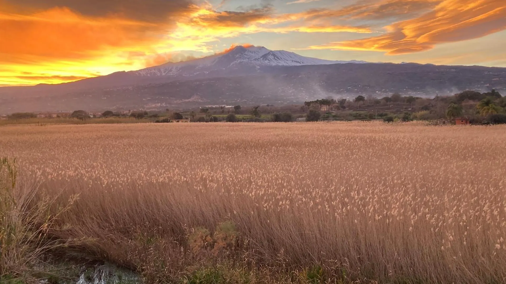 Tatil Evi Green Paradise With Etna View Mascali İtalya