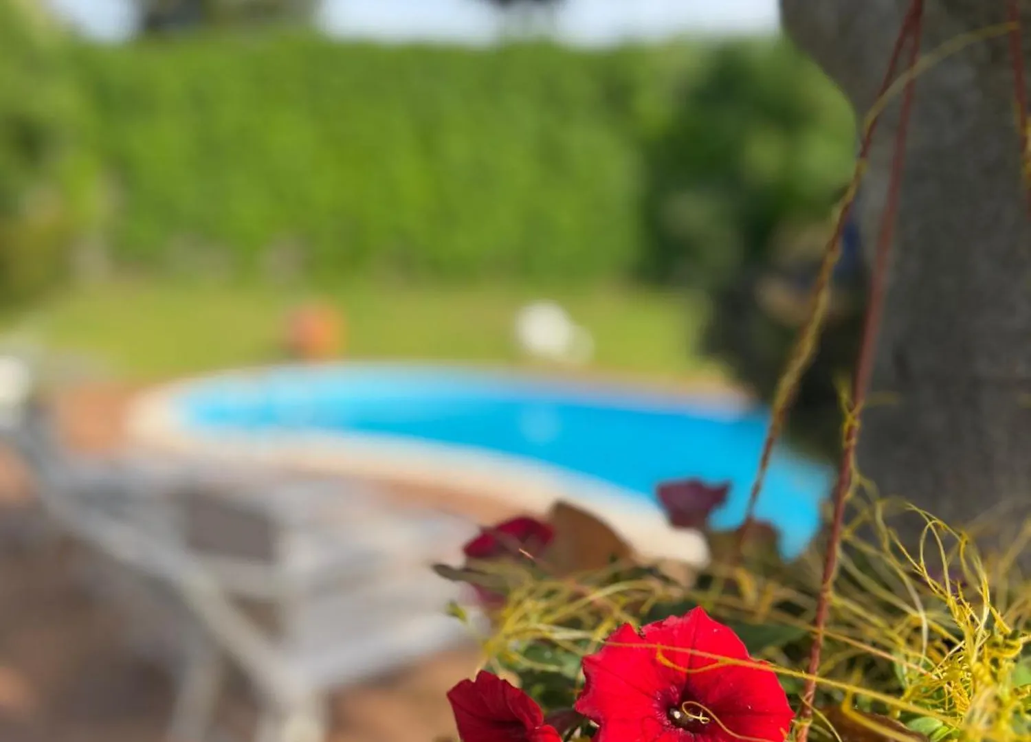 בית נופש מסקלי Green Paradise With Etna View