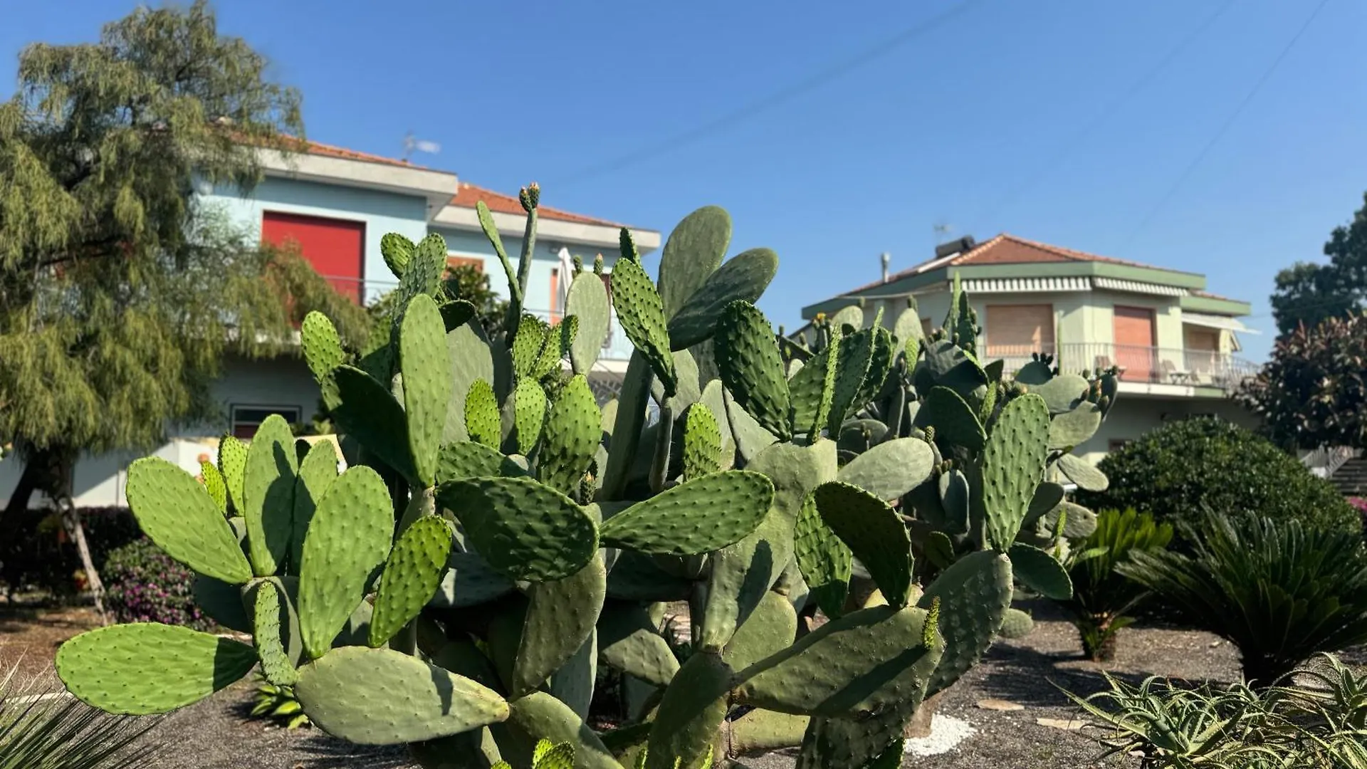 Green Paradise With Etna View Mascali Tatil Evi